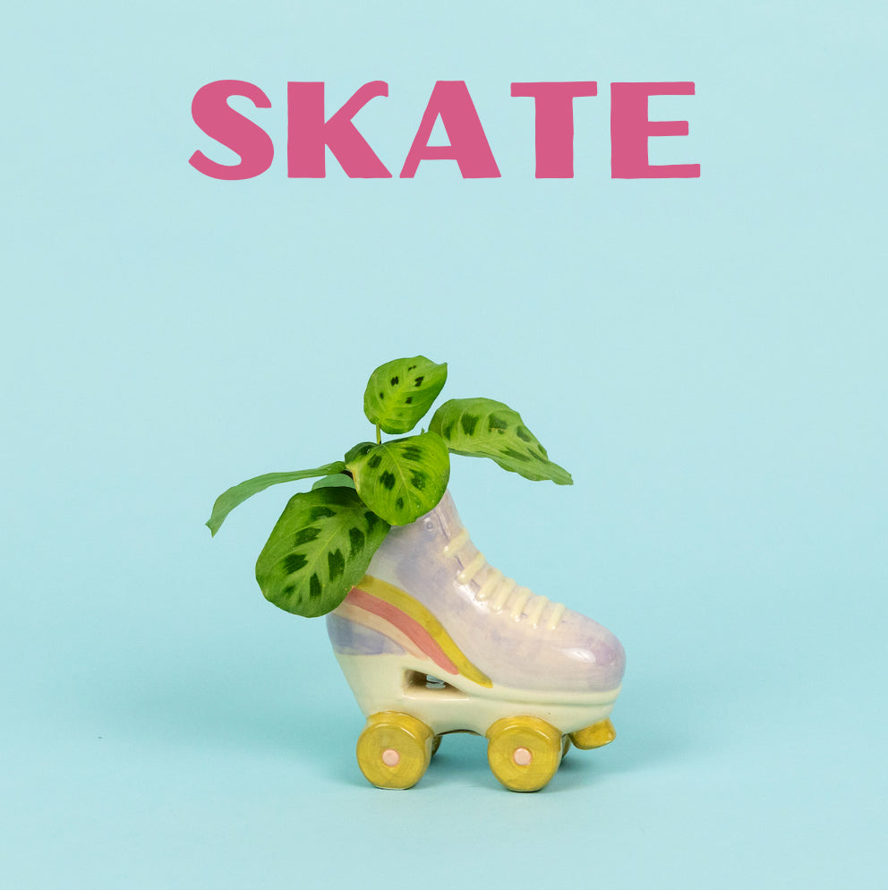 roller skate plant pot Skate Plant – Curbside Flowers